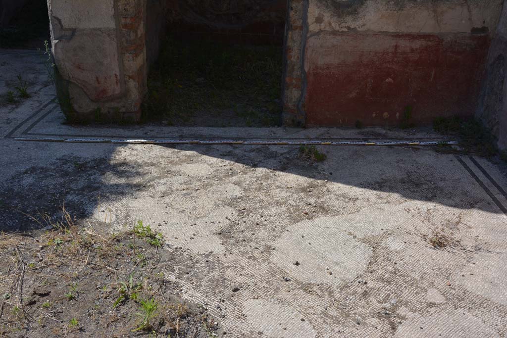 IX.5.6 Pompeii. May 2017. East ala e, looking north across flooring.
Foto Christian Beck, ERC Grant 681269 DÉCOR.