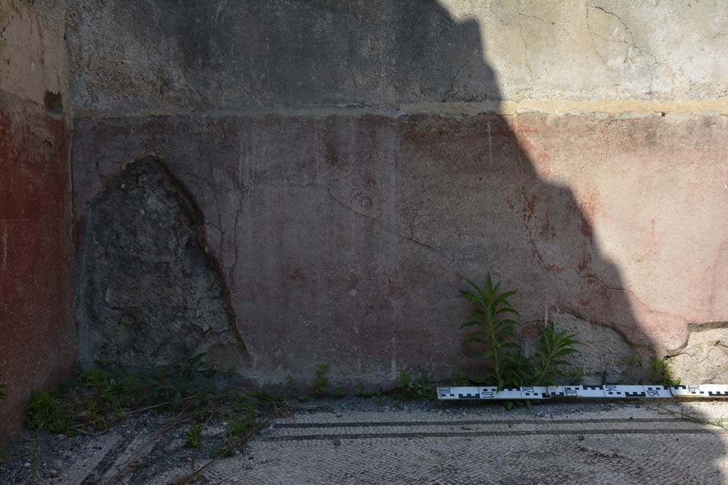 IX.5.6 Pompeii. May 2017. East ala e, zoccolo at north end of east wall
Foto Christian Beck, ERC Grant 681269 DÉCOR.