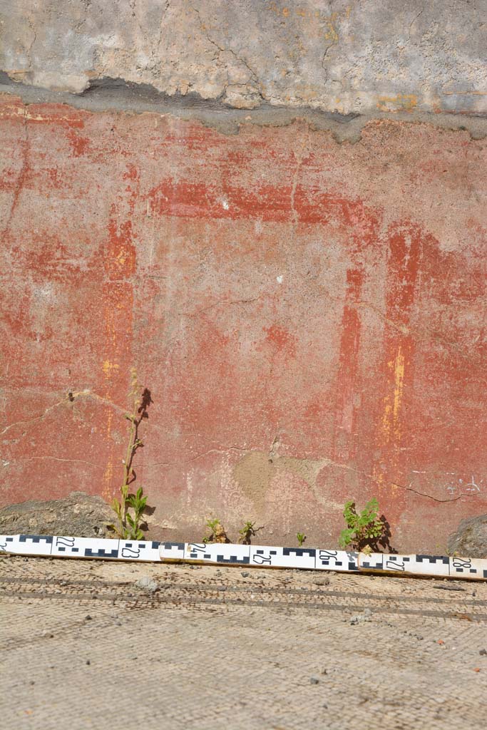 IX.5.6 Pompeii. May 2017. East ala e, detail of compartment of zoccolo on east wall
Foto Christian Beck, ERC Grant 681269 DÉCOR.