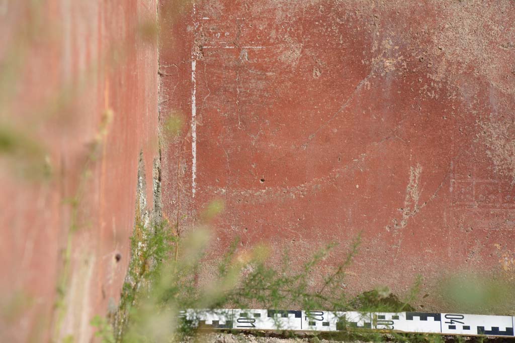IX.5.6 Pompeii. May 2017. East ala e, detail of zoccolo on south wall at east end.
Foto Christian Beck, ERC Grant 681269 DÉCOR.