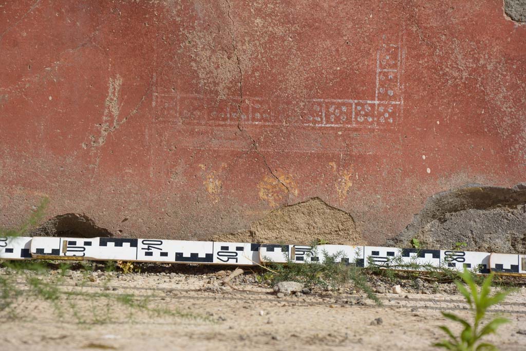 IX.5.6 Pompeii. May 2017. East ala e, detail from zoccolo on south wall.
Foto Christian Beck, ERC Grant 681269 DÉCOR.