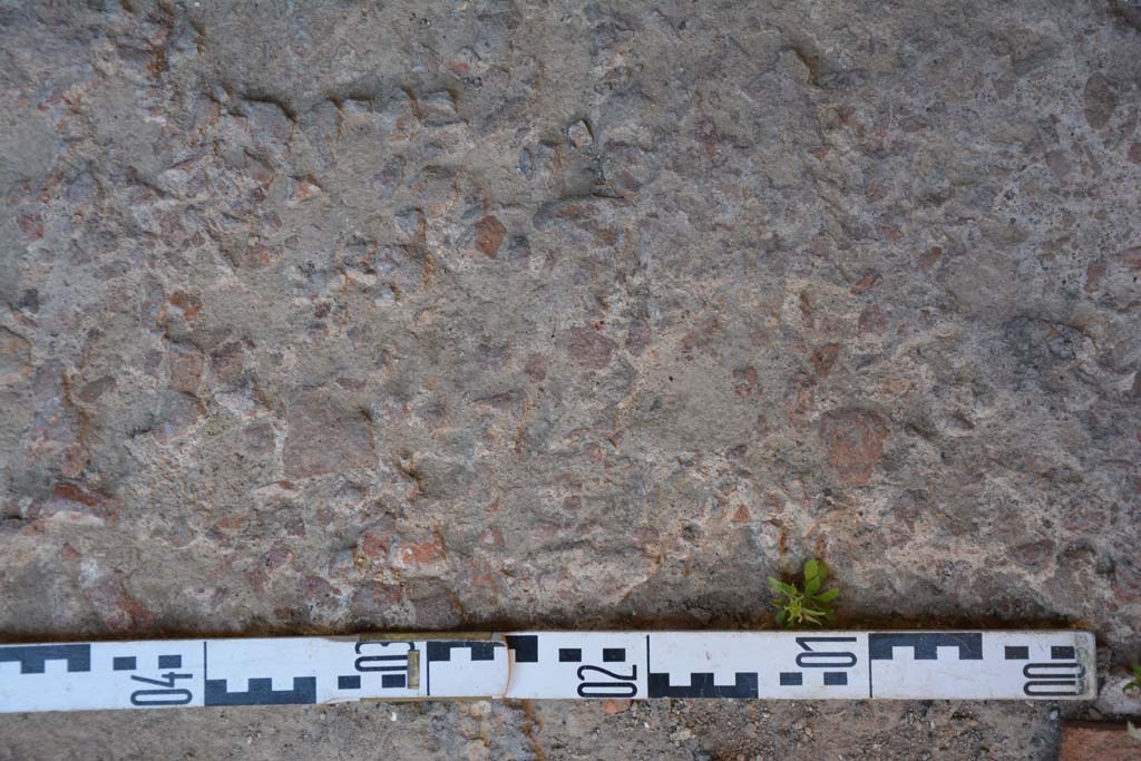 IX.5.6 Pompeii. May 2017. Room l (L), flooring.
Foto Christian Beck, ERC Grant 681269 DÉCOR.