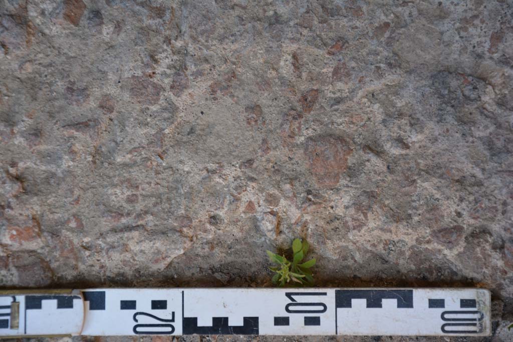 IX.5.6 Pompeii. May 2017. Room l (L), detail of flooring.
Foto Christian Beck, ERC Grant 681269 DÉCOR.