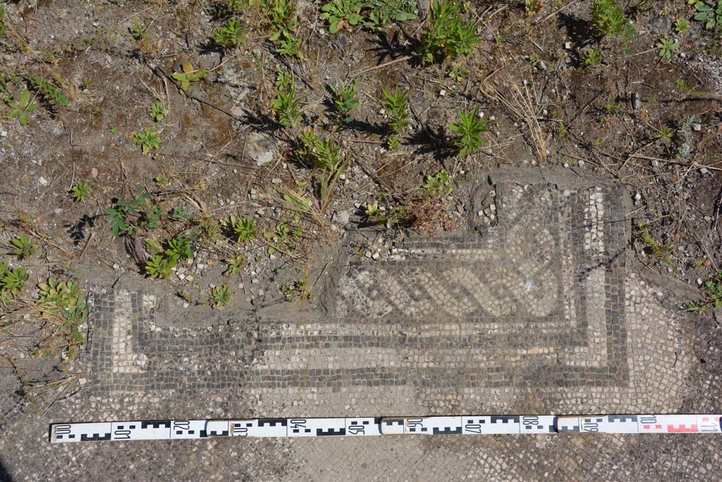 IX.5.6 Pompeii. May 2017. Atrium c, detail from impluvium border.
Foto Christian Beck, ERC Grant 681269 DÉCOR.