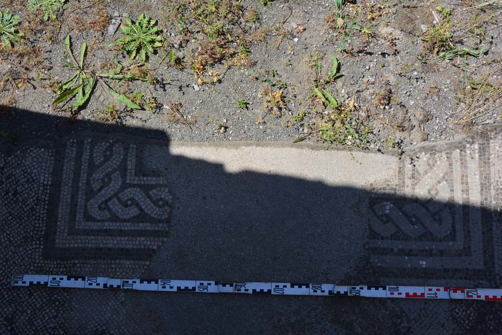 IX.5.6 Pompeii. May 2017. Atrium c’, mosaic on floor between rooms h and g, looking north.
Foto Christian Beck, ERC Grant 681269 DÉCOR.
