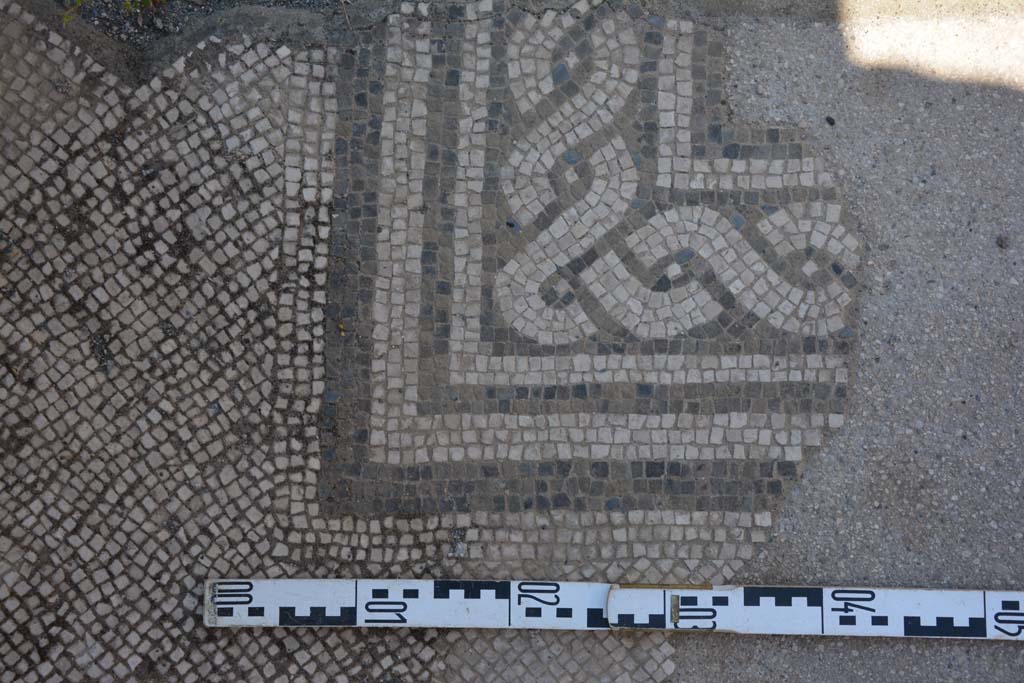 IX.5.6 Pompeii. May 2017. Atrium c’, detail of west side of mosaic on floor between rooms h and g, looking north.
Foto Christian Beck, ERC Grant 681269 DÉCOR.