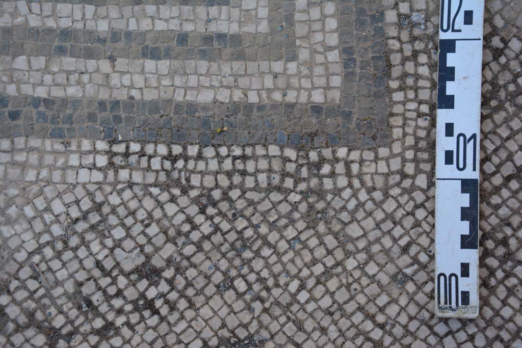 IX.5.6 Pompeii. May 2017. Atrium c’, detail of mosaic border on floor between rooms h and g.
Foto Christian Beck, ERC Grant 681269 DÉCOR.