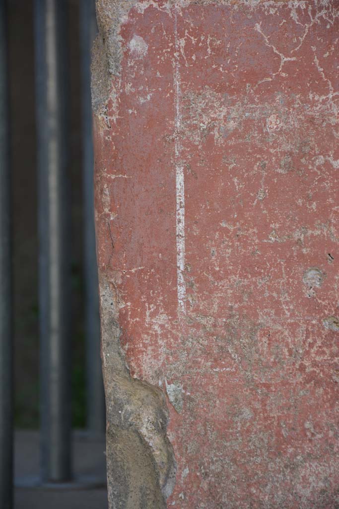 IX.5.6 Pompeii. May 2017.
Area c’, detail of zoccolo on pilaster on south side of doorway to room h.
Foto Christian Beck, ERC Grant 681269 DÉCOR.