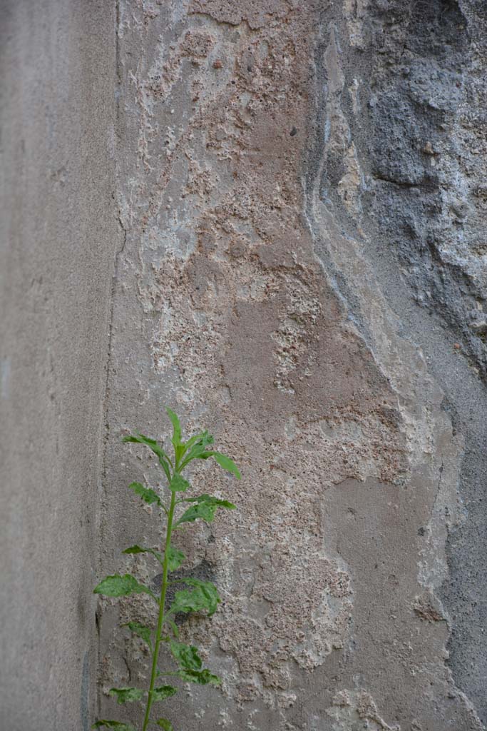 IX.5.8 Pompeii. May 2017. Detail from remaining stucco on west wall at south end.
Foto Christian Beck, ERC Grant 681269 DÉCOR.