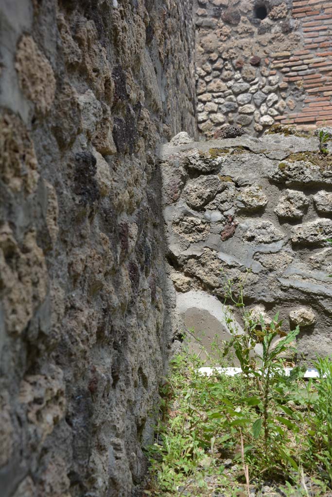 IX.5.8 Pompeii. May 2017. Detail from wall in north-west corner.
Foto Christian Beck, ERC Grant 681269 DÉCOR.