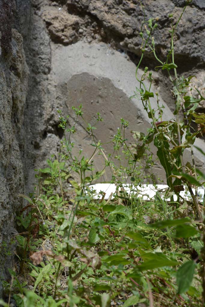 IX.5.8 Pompeii. May 2017. Detail of remaining plaster from wall in north-west corner.
Foto Christian Beck, ERC Grant 681269 DÉCOR.