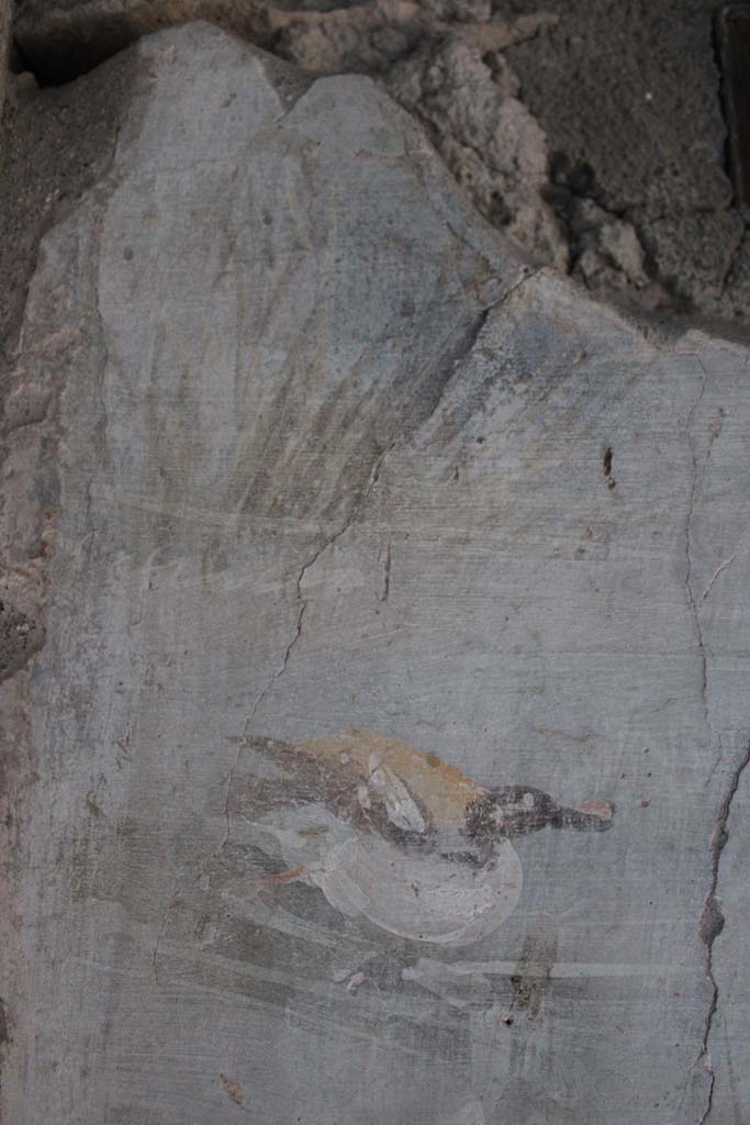 IX.5.9 Pompeii. May 2019. Room “l (L)”, detail of painted duck from upper east wall.
Foto Christian Beck, ERC Grant 681269 DÉCOR.