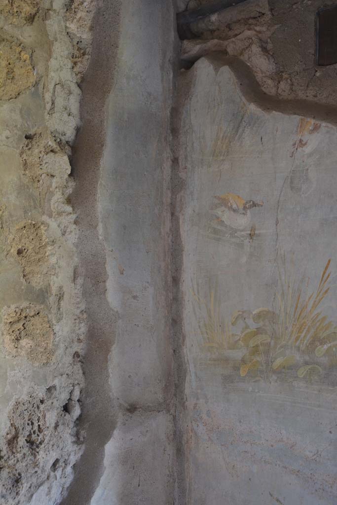 IX.5.9 Pompeii. May 2017. Room “l (L)”, north-east corner.
Foto Christian Beck, ERC Grant 681269 DÉCOR.