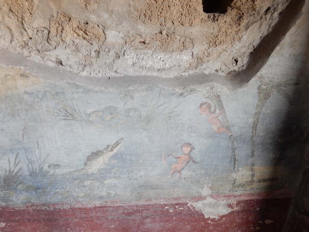 IX.5.9 Pompeii. June 2019.
Room 8, north wall at east end, showing a pygmy climbing a palm tree trying to escape the crocodile.
Photo courtesy of Buzz Ferebee.