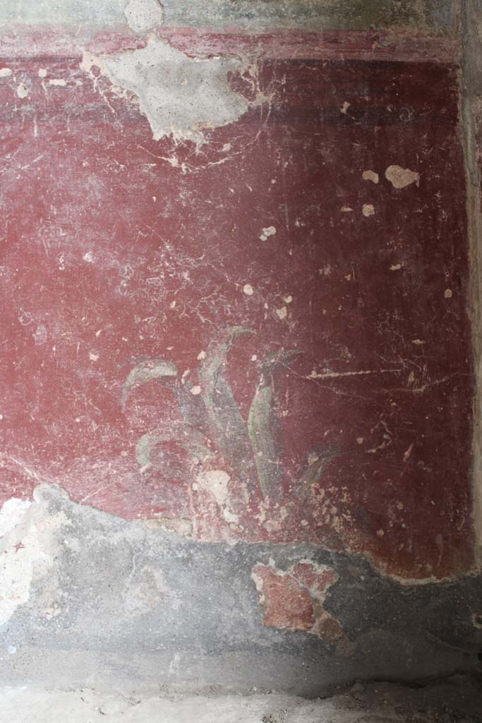 IX.5.9 Pompeii. May 2019. Room l (L), zoccolo on lower north wall at east end.
Foto Christian Beck, ERC Grant 681269 DÉCOR.