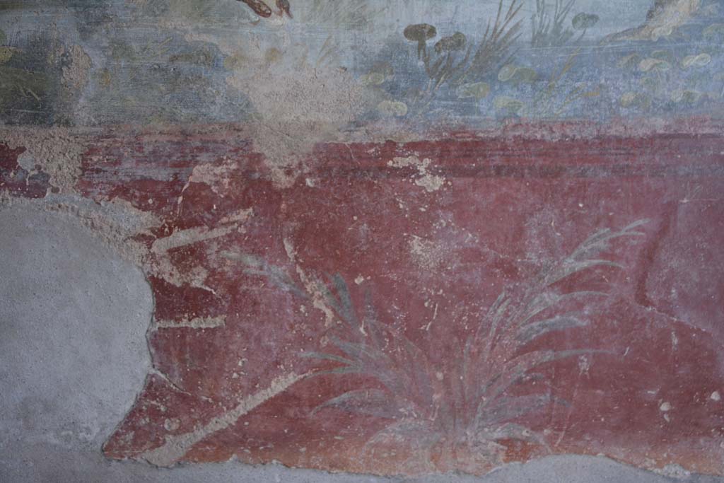 IX.5.9 Pompeii. March 2017. Room “l (L)”, zoccolo on lower north wall towards centre.
Foto Christian Beck, ERC Grant 681269 DÉCOR.