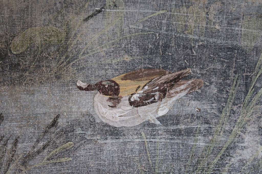 IX.5.9 Pompeii. May 2019. Room l (L), detail of duck on river.
Foto Christian Beck, ERC Grant 681269 DÉCOR.