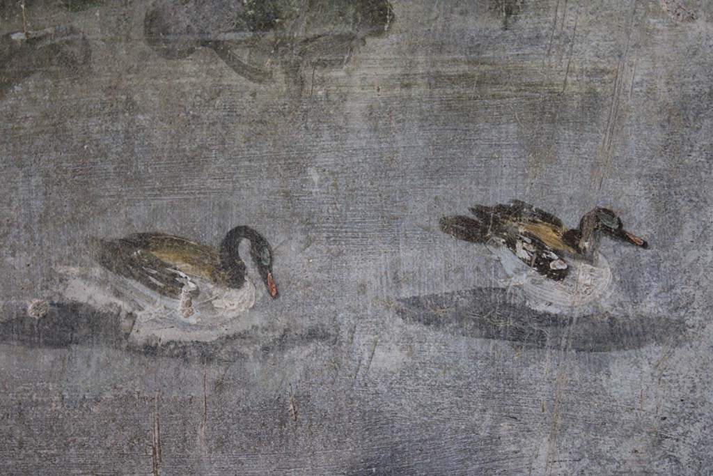 IX.5.9 Pompeii. May 2019. Room “l (L)”, detail of ducks from north wall at west end.
Foto Christian Beck, ERC Grant 681269 DÉCOR.