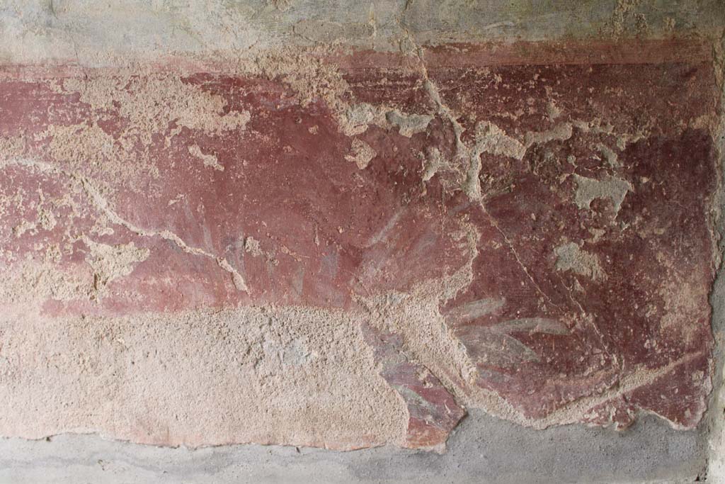 IX.5.9 Pompeii. May 2019. Room “l (L)”, detail of zoccolo with painted plants at west end of south wall.
Foto Christian Beck, ERC Grant 681269 DÉCOR.