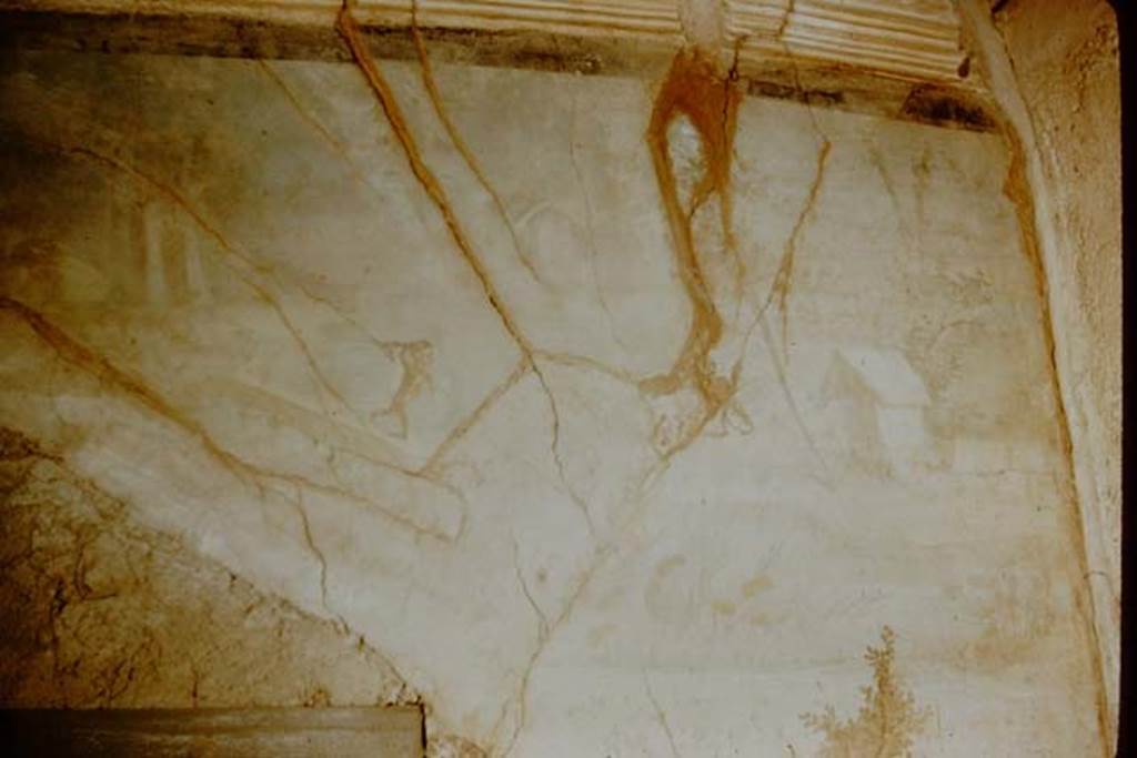 IX.5.9 Pompeii. 1957. Room 8. Painted wall decoration from south wall at west end. Photo by Stanley A. Jashemski.
Source: The Wilhelmina and Stanley A. Jashemski archive in the University of Maryland Library, Special Collections (See collection page) and made available under the Creative Commons Attribution-Non Commercial License v.4. See Licence and use details.
J57f0272