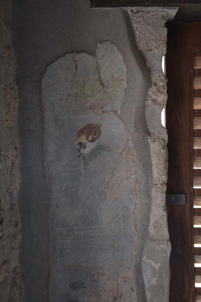 IX.5.9 Pompeii. March 2017. Room “l (L)”, south wall at east end of window.
Foto Christian Beck, ERC Grant 681269 DÉCOR.