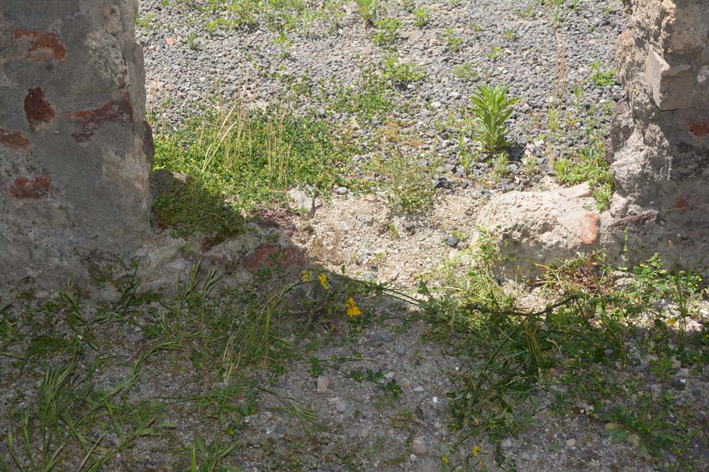 IX.5.9 Pompeii. May 2017. Room “m”, detail from lower doorway at south end of west wall.
Foto Christian Beck, ERC Grant 681269 DÉCOR.
