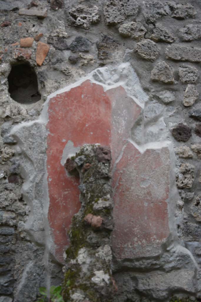 IX.5.9 Pompeii. March 2017. Room “n/q”, detail of painted decoration at rear of separating wall.
Foto Christian Beck, ERC Grant 681269 DÉCOR.