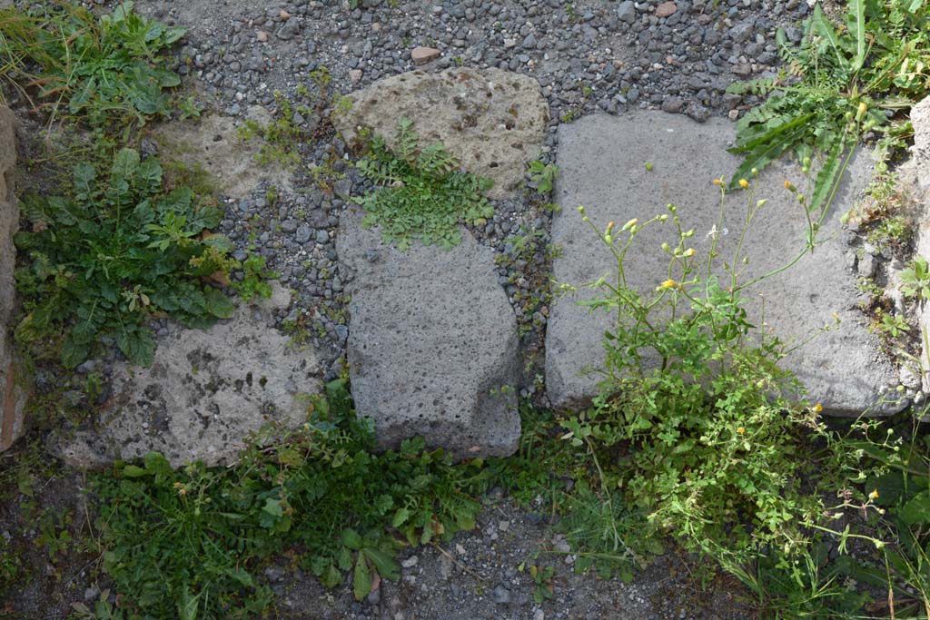 IX.5.9 Pompeii. May 2017. Room “o”, doorway threshold.
Foto Christian Beck, ERC Grant 681269 DÉCOR.