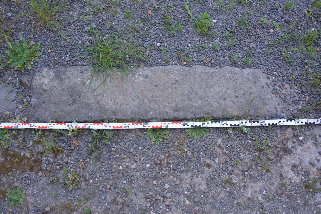 IX.5.9 Pompeii. May 2017. Room “p”, detail of doorway threshold towards east end.
Foto Christian Beck, ERC Grant 681269 DÉCOR.