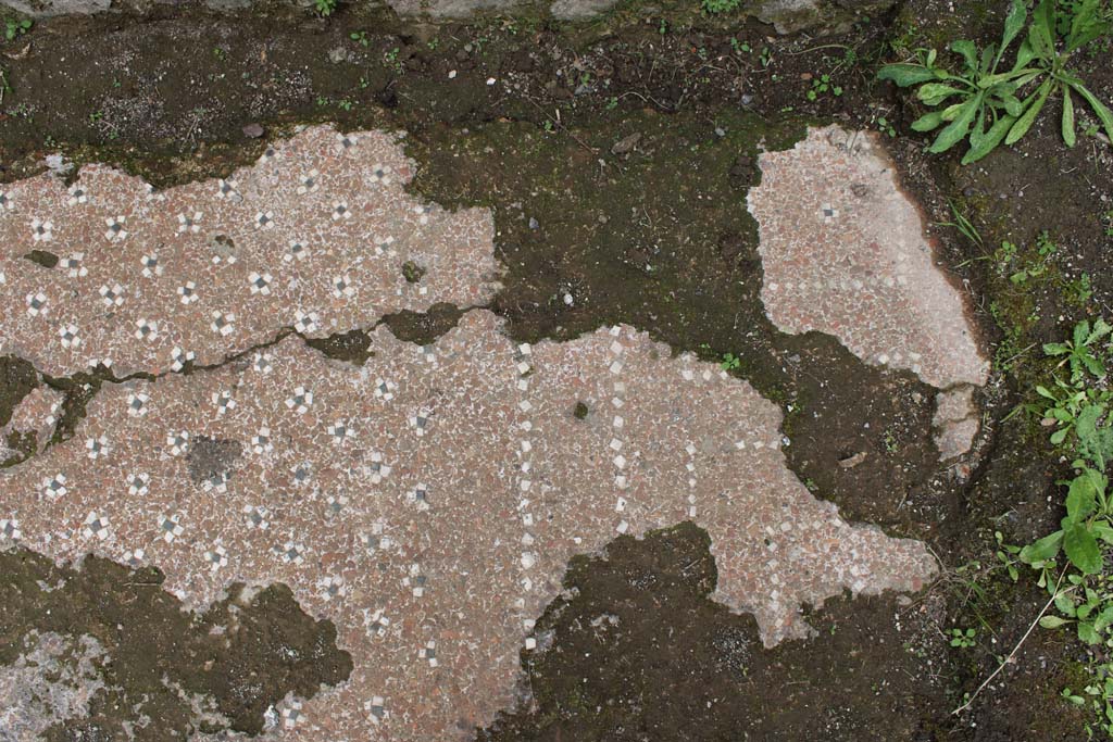 IX.5.9 Pompeii. May 2019. Room p, detail of flooring at south end.
Foto Christian Beck, ERC Grant 681269 DÉCOR