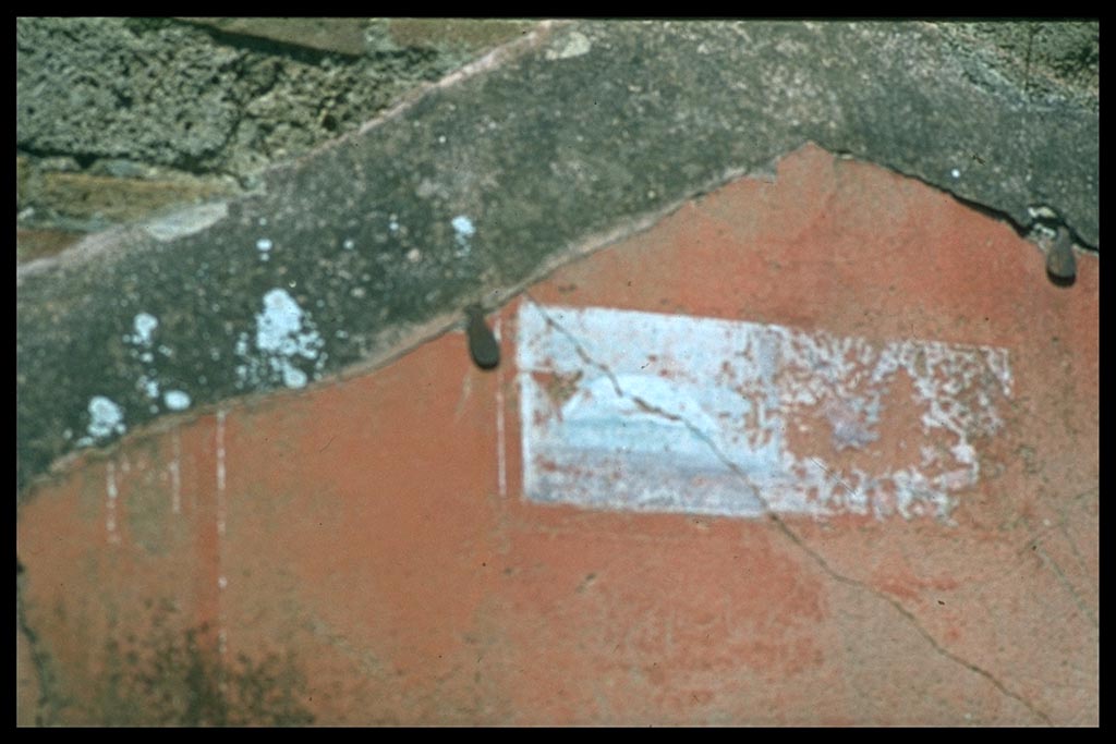 IX.5.9 Pompeii. North wall of north-east corner of atrium “b”. Painting.
Photographed 1970-79 by Günther Einhorn, picture courtesy of his son Ralf Einhorn.