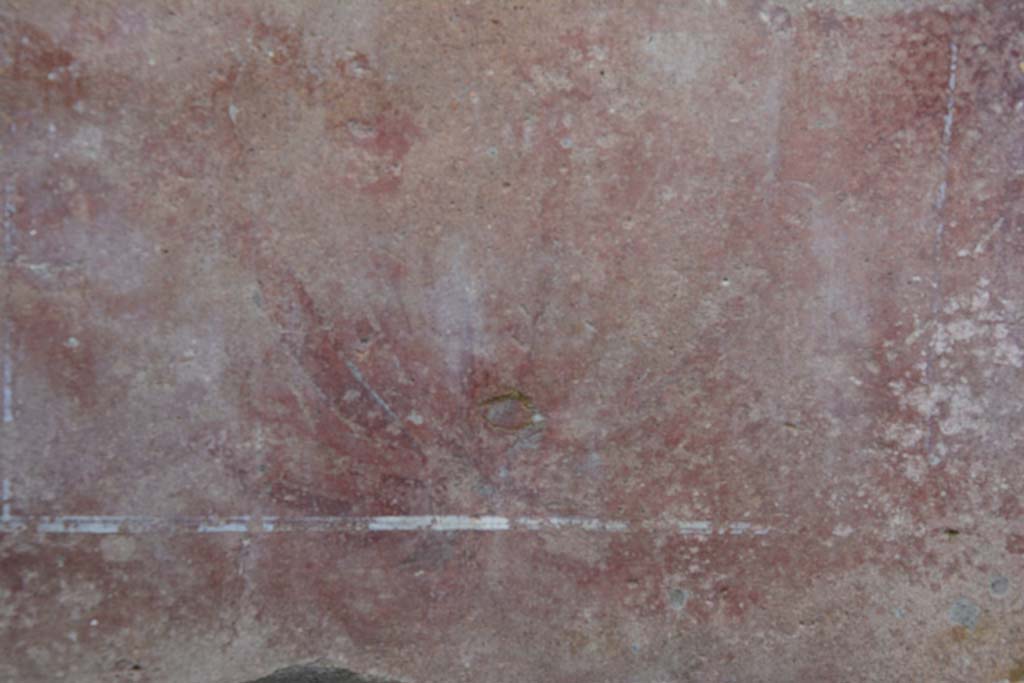 IX.5.9 Pompeii. March 2017. Room “f”, detail from zoccolo of painted plant.
Foto Christian Beck, ERC Grant 681269 DÉCOR.