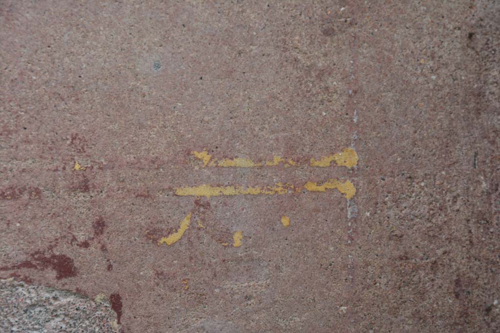 IX.5.9 Pompeii. March 2017. Room “f”, detail of painted decoration from zoccolo on south wall.
Foto Christian Beck, ERC Grant 681269 DÉCOR.