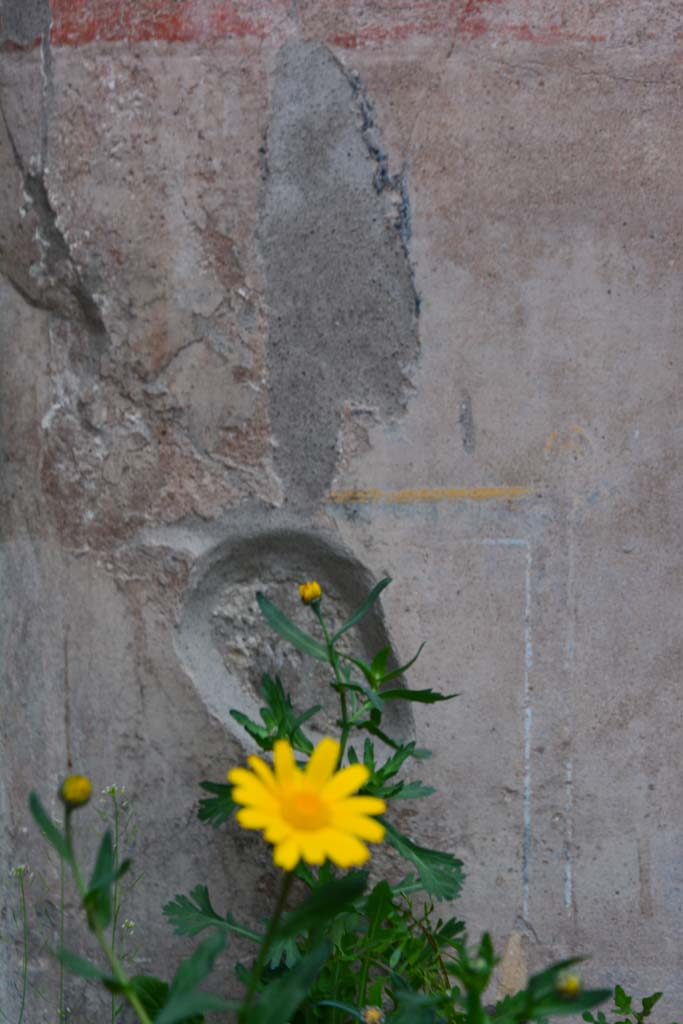 IX.5.9 Pompeii. March 2017. Room “g”, detail from lower east wall in north-east corner.
Foto Christian Beck, ERC Grant 681269 DÉCOR.