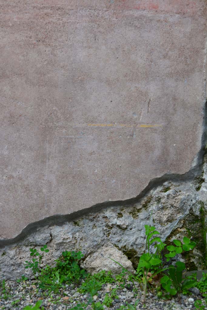 IX.5.9 Pompeii. March 2017. Room “g”, lower east wall at south end, detail from zoccolo.
Foto Christian Beck, ERC Grant 681269 DÉCOR.