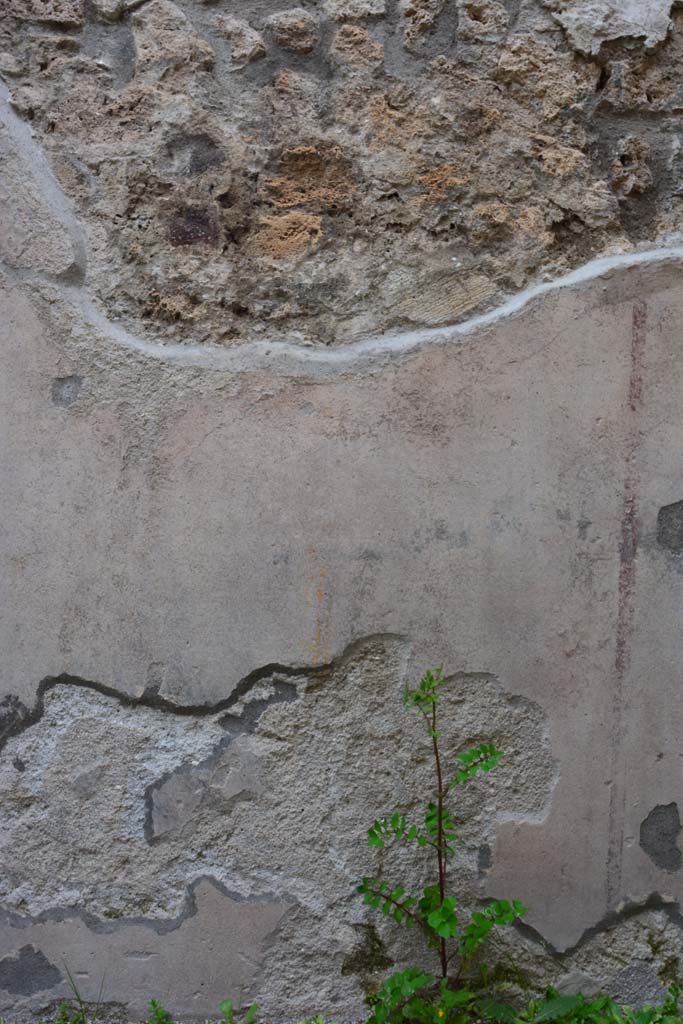 IX.5.9 Pompeii. March 2017. Room “h”, lower north wall.
Foto Christian Beck, ERC Grant 681269 DÉCOR.