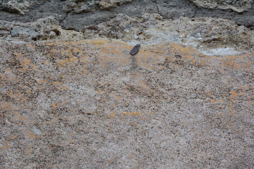 IX.5.9 Pompeii. March 2017. Room “h”, upper east wall.
Foto Christian Beck, ERC Grant 681269 DÉCOR.