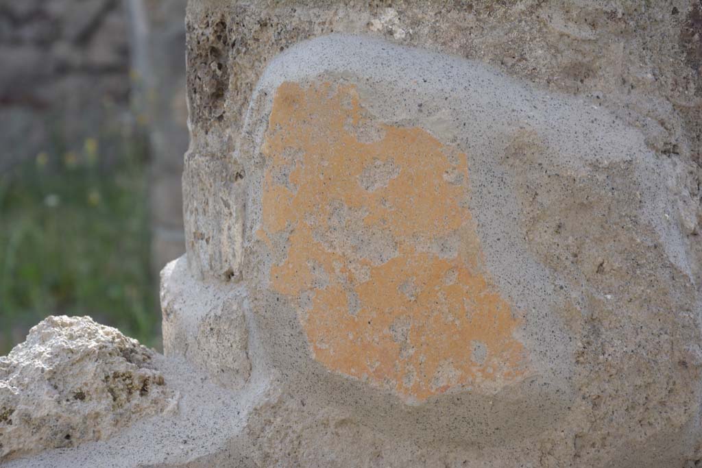 IX.5.9 Pompeii. May 2017. Room “i”, detail from painted column in north-east corner of portico.
Foto Christian Beck, ERC Grant 681269 DÉCOR.