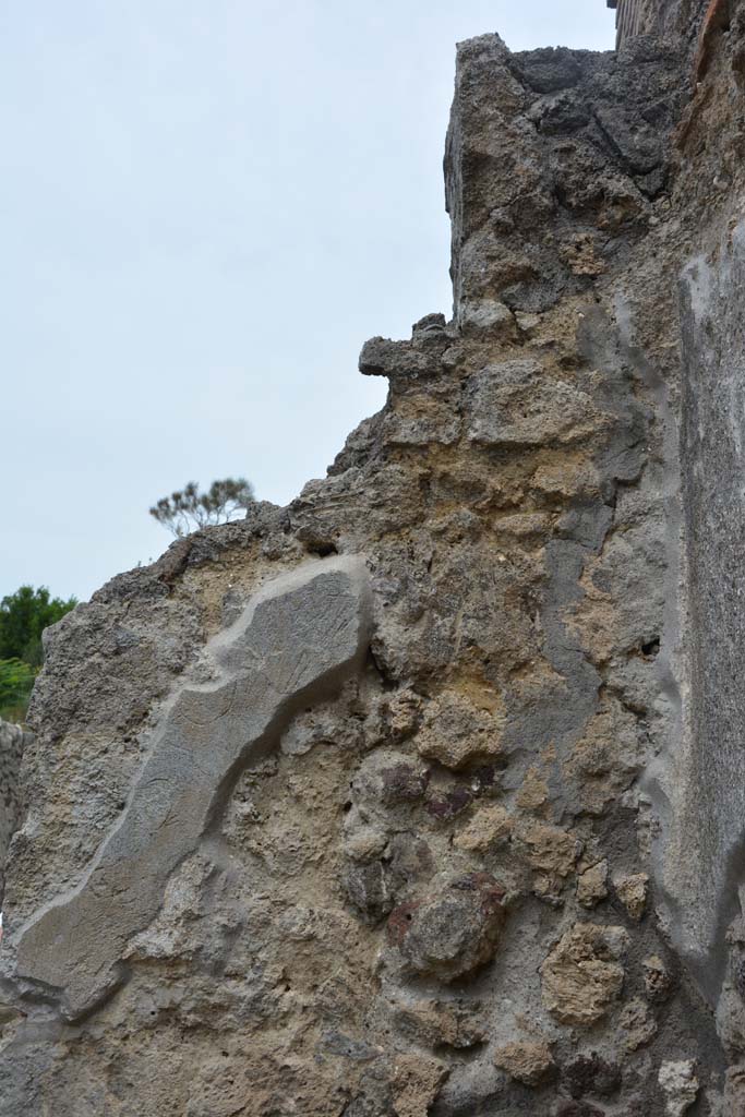 IX.5.10 Pompeii. May 2017. Detail from upper north wall in north-east corner.
Foto Christian Beck, ERC Grant 681269 DÉCOR.