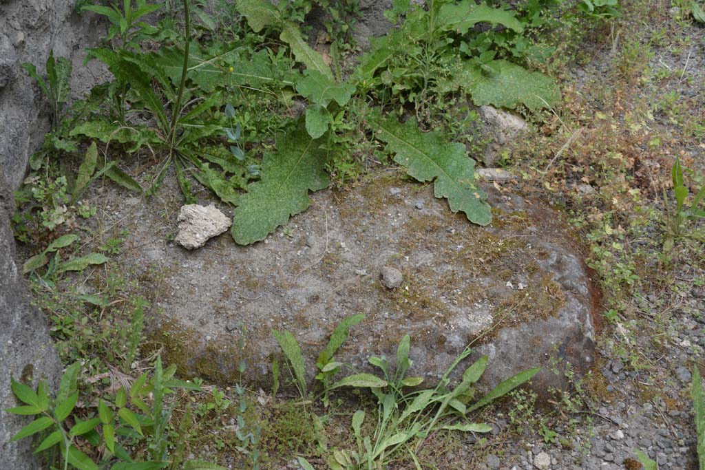 IX.5.10 Pompeii. May 2017. Detail from near west wall.
Foto Christian Beck, ERC Grant 681269 DÉCOR.