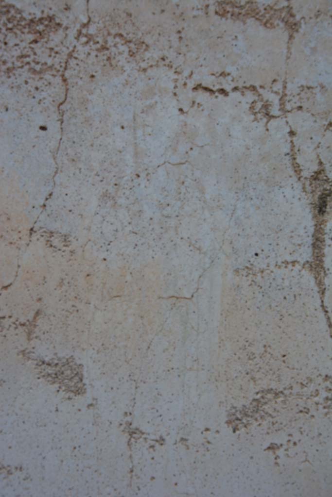 IX.5.11 Pompeii. March 2017.
Room k, centre of panel at east end of north wall, figure of Muse Polyhymnia wrapped in her cloak.
Foto Christian Beck, ERC Grant 681269 DÉCOR.