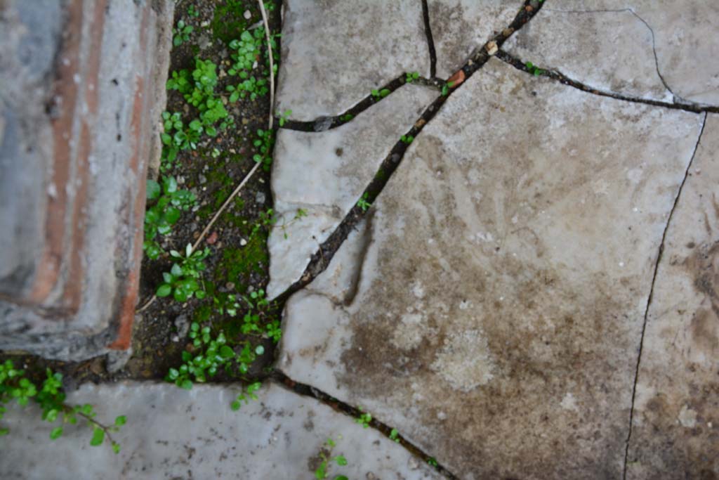 IX.5.11 Pompeii. March 2017. Room f, detail of doorway threshold.   
Foto Christian Beck, ERC Grant 681269 D�COR.

