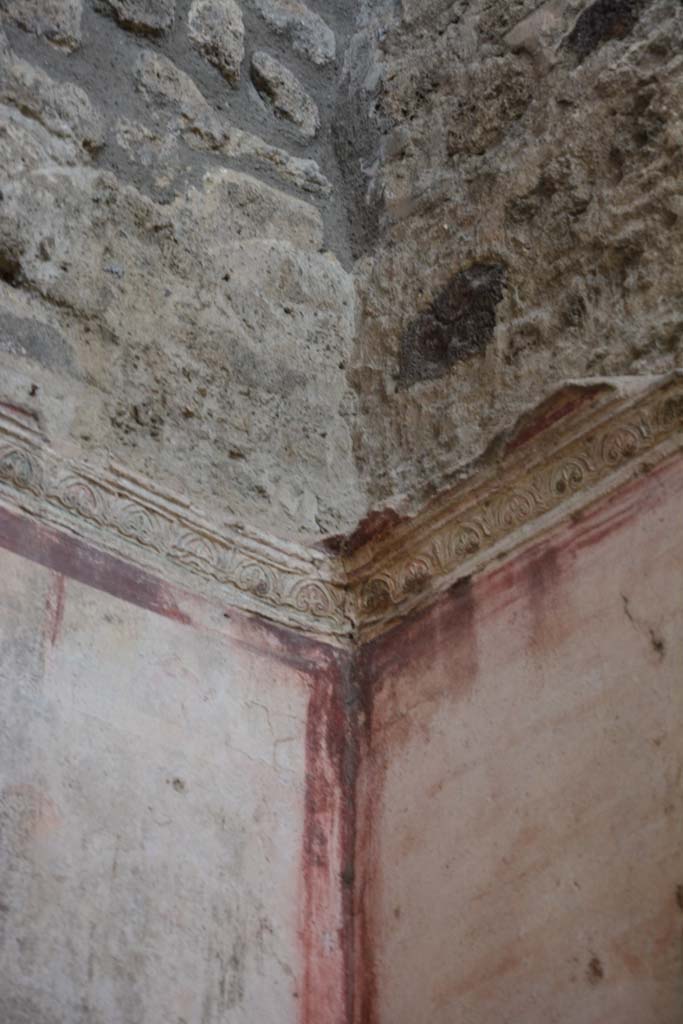 IX.5.11 Pompeii. March 2017. Room f, detail of stucco cornice from north-west corner. 
Foto Christian Beck, ERC Grant 681269 D�COR.

