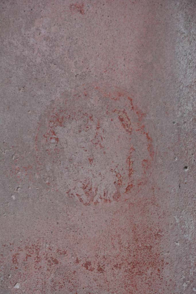 IX.5.11 Pompeii. March 2017. Room e, detail from medallion on east end of south wall.
Foto Christian Beck, ERC Grant 681269 DÉCOR.