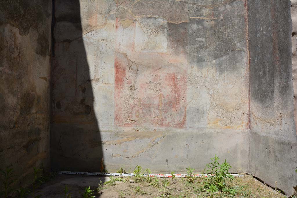 IX.5.11 Pompeii. May 2017. Room d, lower north wall.
Foto Christian Beck, ERC Grant 681269 D�COR.
This room would have been decorated in the IVth Style, on the north wall the zoccolo and plinth were on a black background.
Painted vases were seen in the centre of the panelled black zoccolo, with vine-branches at the sides.
The middle zone, painted on a red background had a painted central panel, and white side panels with vignettes.
In the upper zone were painted figures between architecture. 

