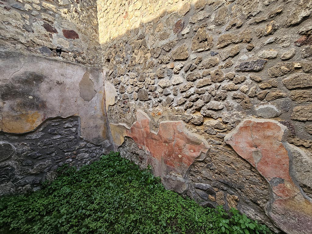 IX.5.11 Pompeii. November 2024. Room p, north-west corner and north wall. Photo courtesy of Annette Haug.