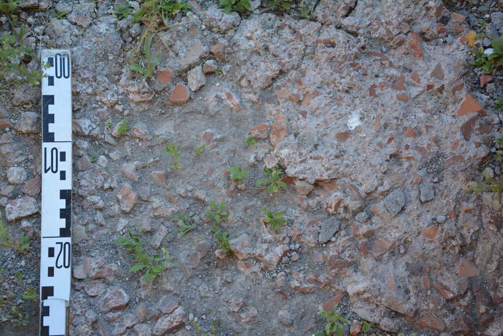 IX.5.11 Pompeii. May 2017. Room h, detail of flooring.
Foto Christian Beck, ERC Grant 681269 DÉCOR.