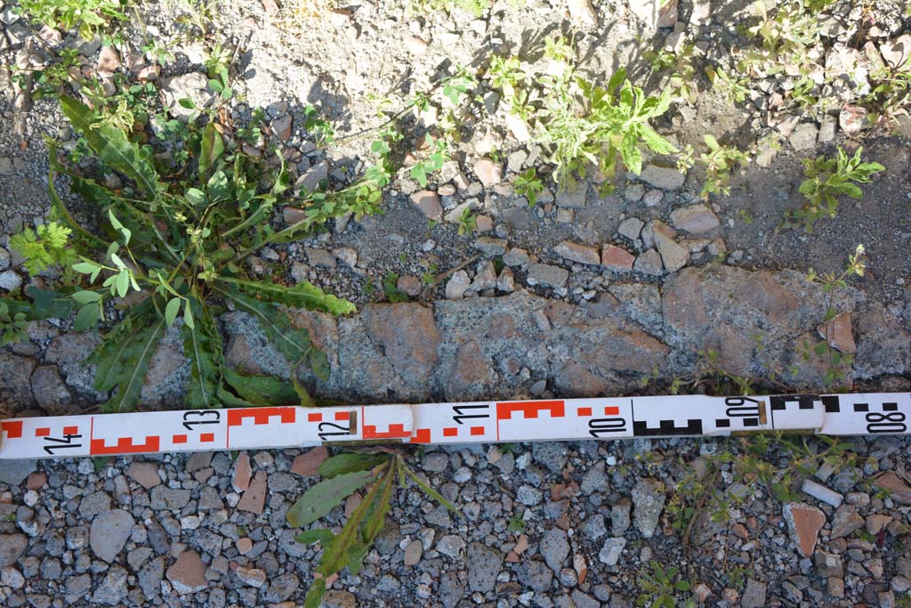 IX.5.11 Pompeii. May 2017. Room h, detail of flooring.
Foto Christian Beck, ERC Grant 681269 DÉCOR.