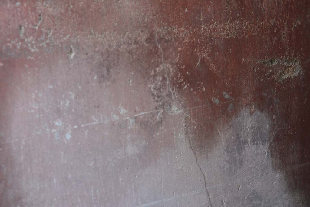 IX.5.11 Pompeii. March 2017. Room i, detail of zoccolo from centre of north wall.
Foto Christian Beck, ERC Grant 681269 DÉCOR.