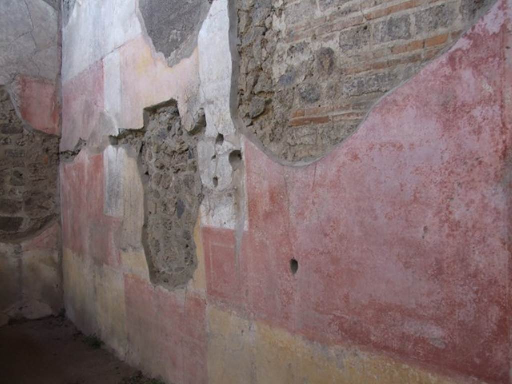 IX.5.11 Pompeii. December 2007. Room 4, west wall.